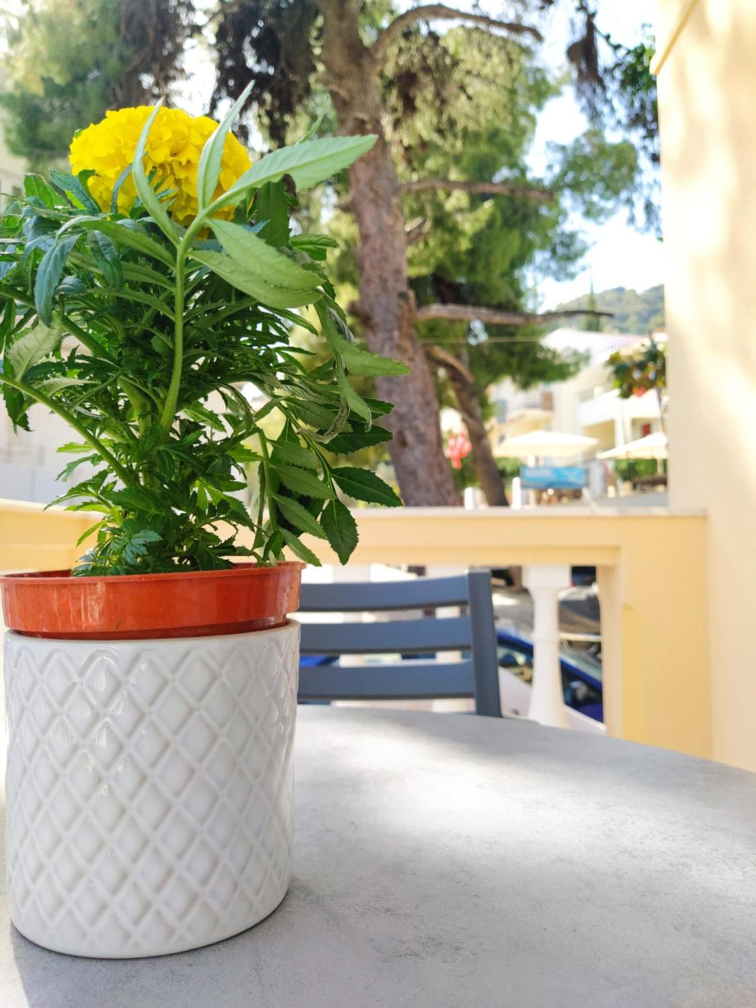 Chrysanthes No4 Apartment